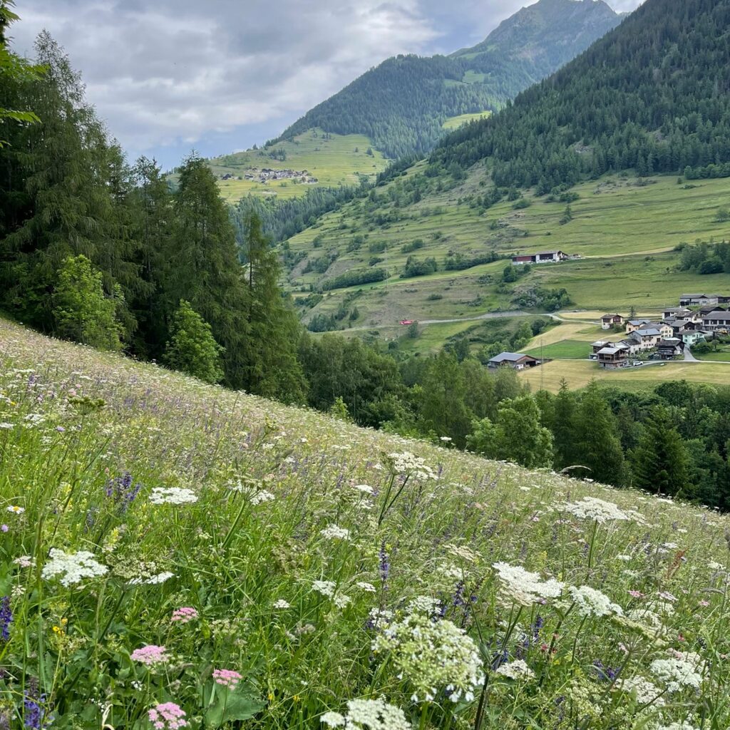 VF Day 3 & 4: Hiking the Swiss Alps