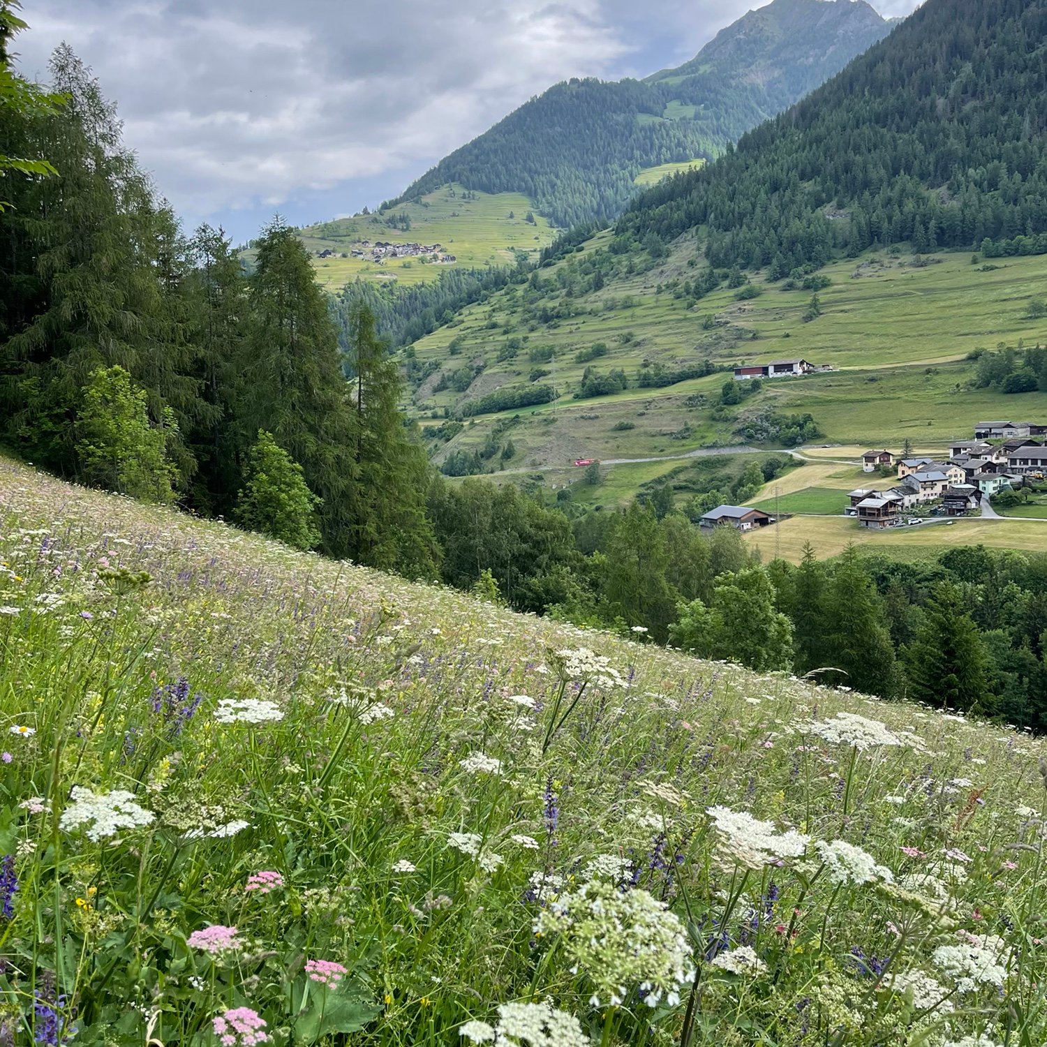 VF Day 3 & 4: Hiking the Swiss Alps