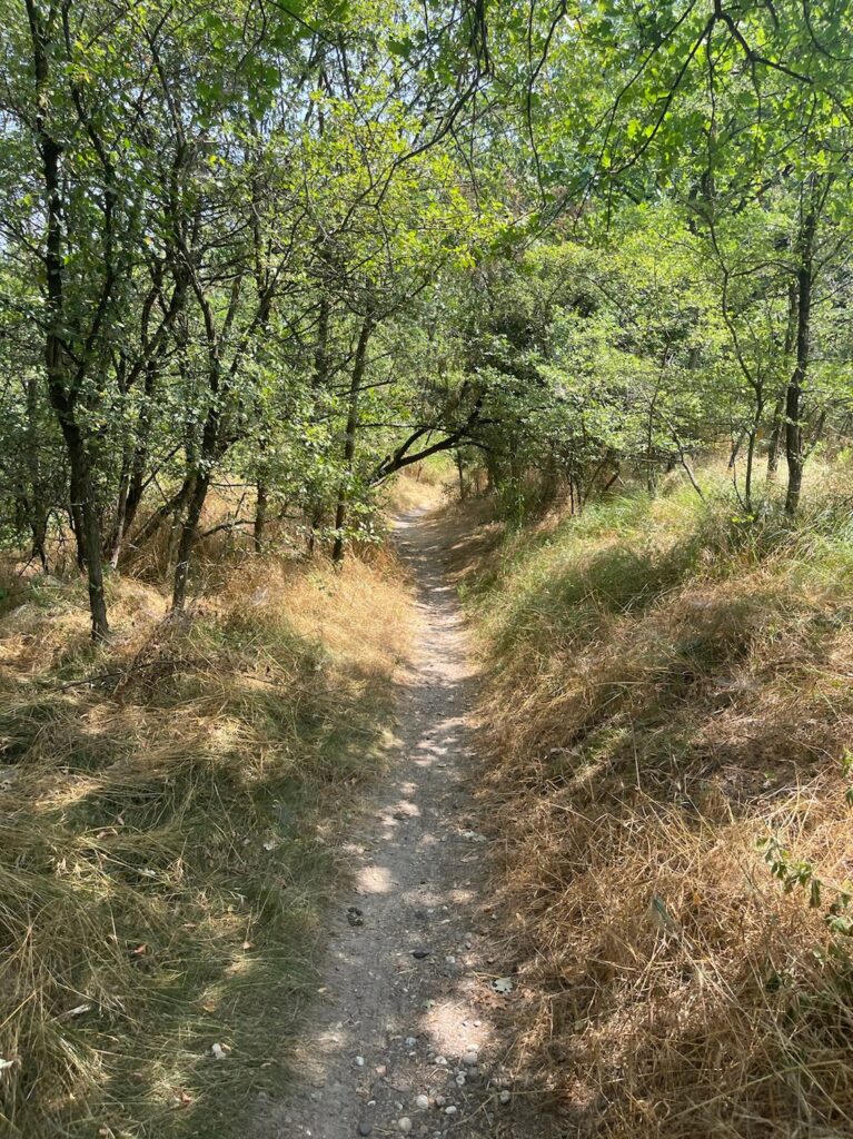 VF Day 16-18: Finding Joy in the Long, Flat Road & Teaching