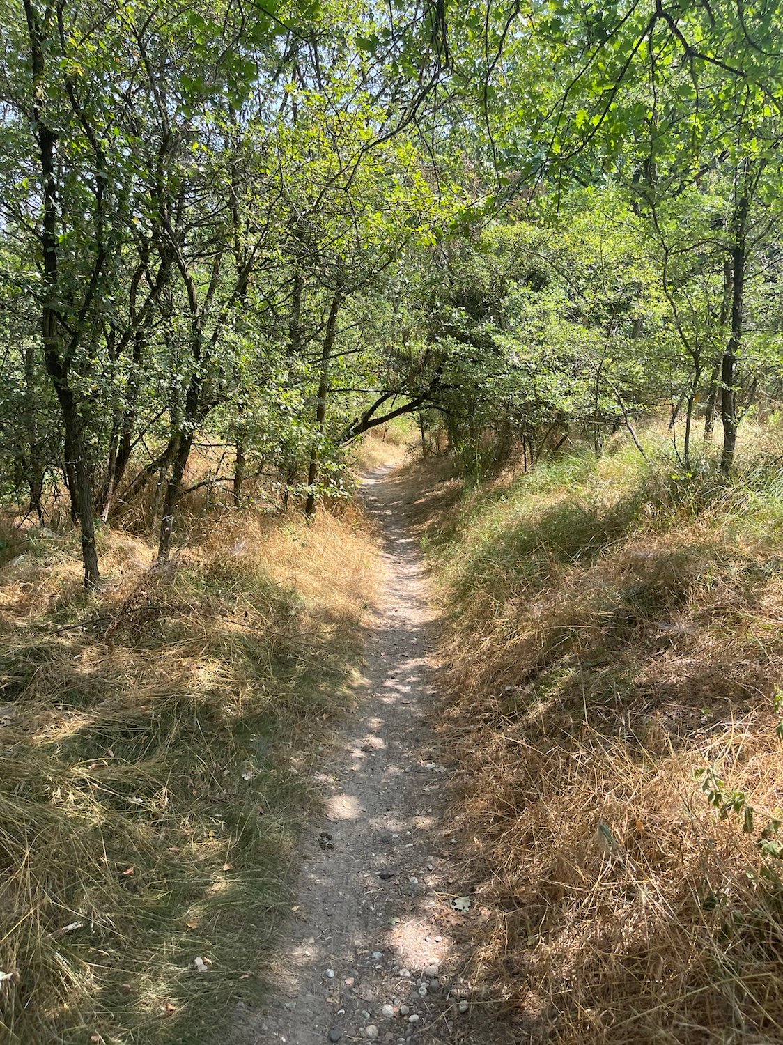VF Day 16-18: Finding Joy in the Long, Flat Road & Teaching