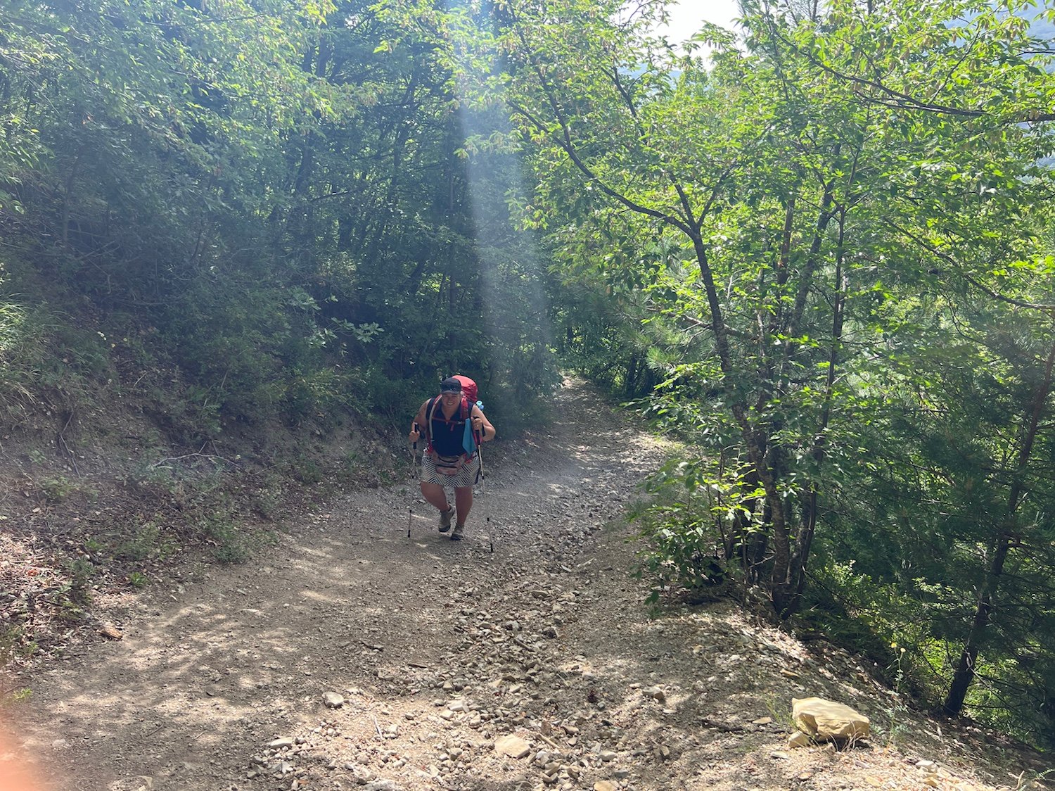 VF Day 25-26: Two Bees, a Swarm of Flies, and Relentless Gnats