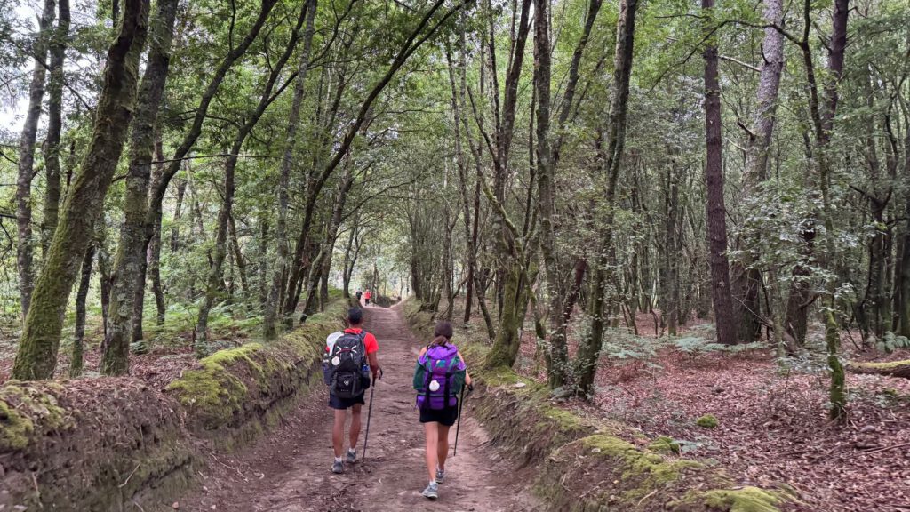Camino de Santiago: Samos to Santiago